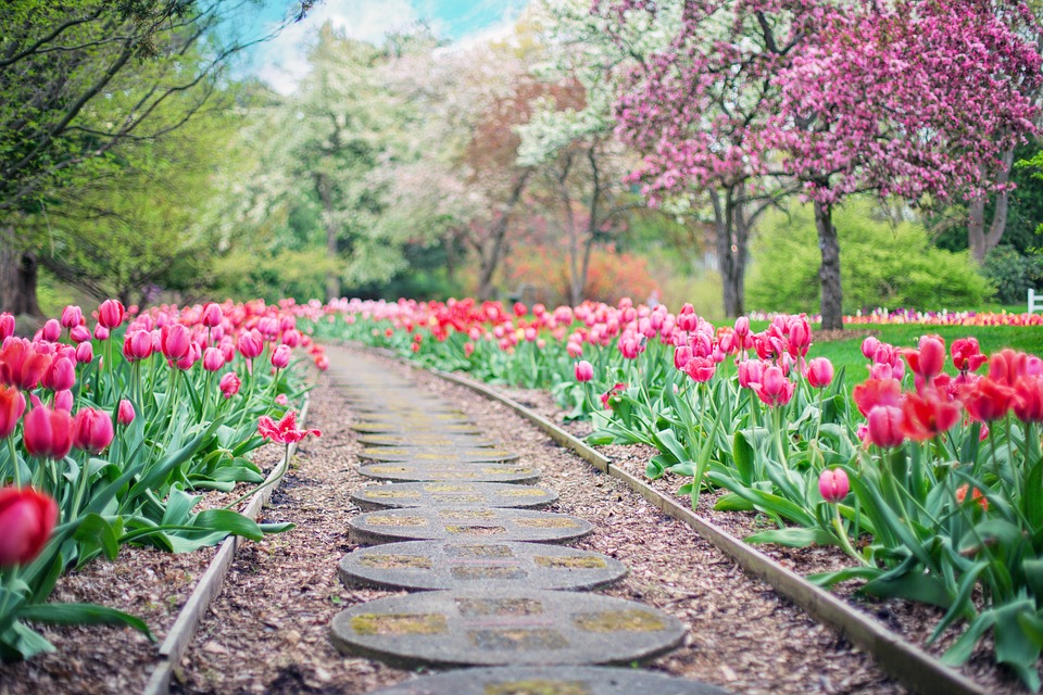 jardin plantes